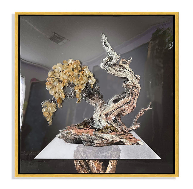 The Zen Collection - Set of (4) 24" x 24"